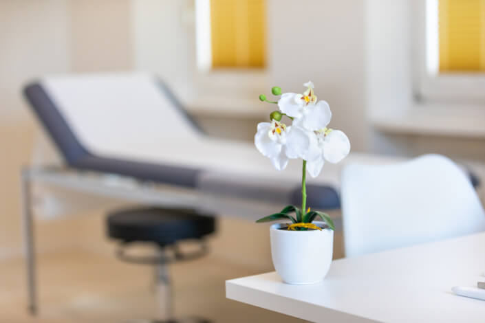 A white flower in a pot on a white table.